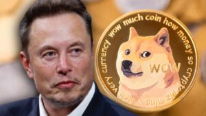 Elon Musk crypto coin 2025